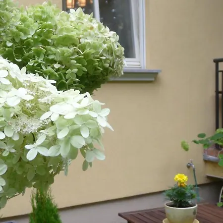Lägenhet Patio Mare *