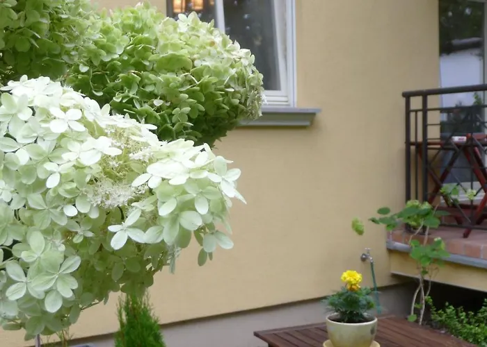 Appartamento Patio Mare *